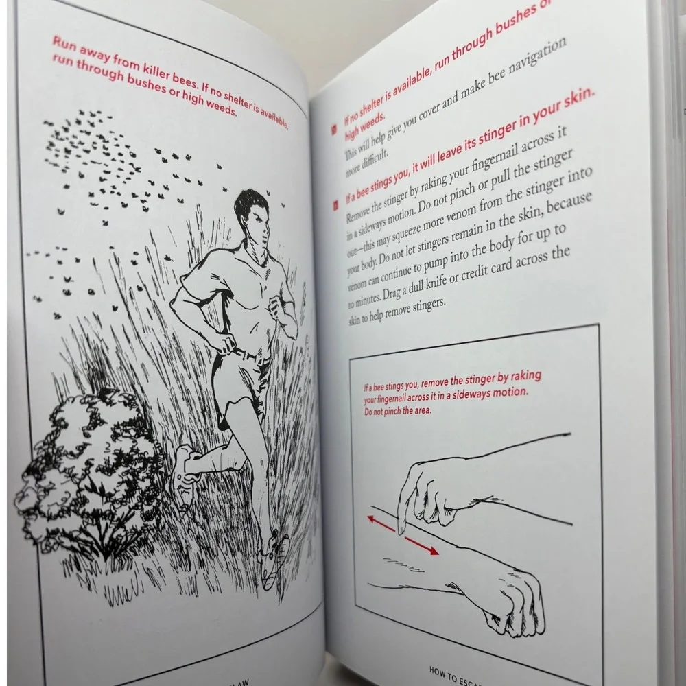 Chronicle Books essential guide